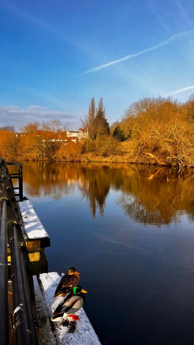 Views to Egglescliffe a picturesque village overlooking the River Tees, rich in history and character. With its charm